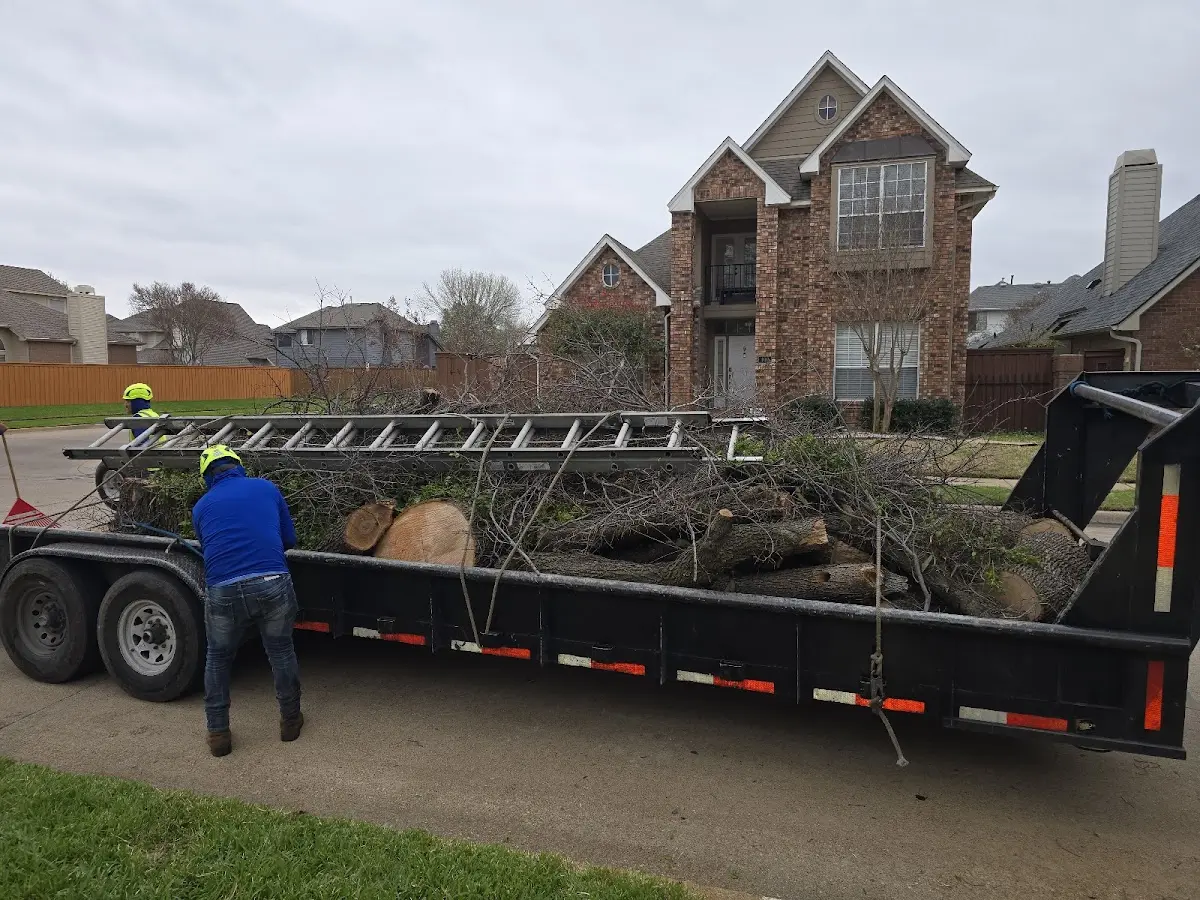 Expert Tree Fertilization with proper safety equipment in Wheatland